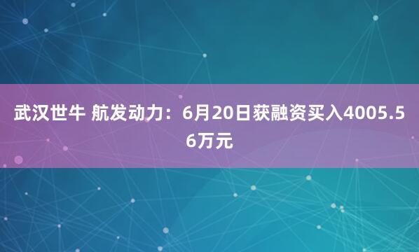 武汉世牛 航发动力：6月20日获融资买入4005.56万元