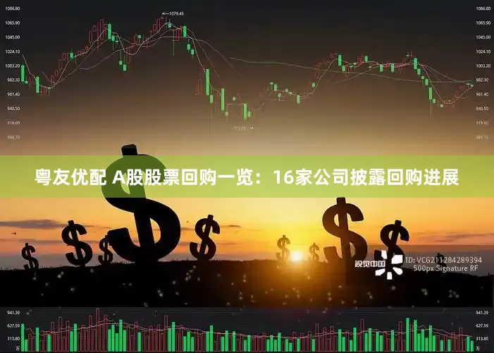 粤友优配 A股股票回购一览：16家公司披露回购进展